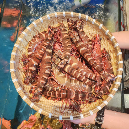 HẢI SẢN RẤT TƯƠI