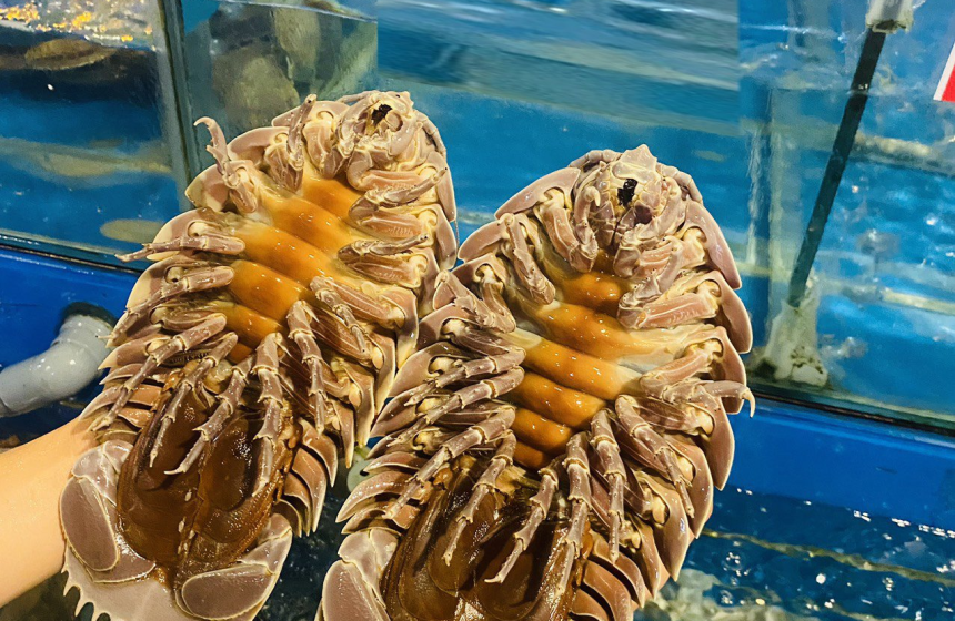 HẢI SẢN RẤT TƯƠI