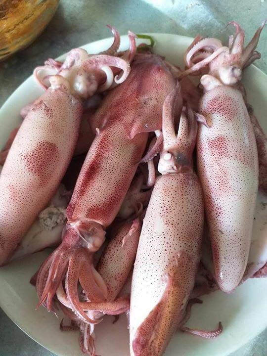 địa chỉ bán hải sản giá sỉ uy tín tại Tân Phú