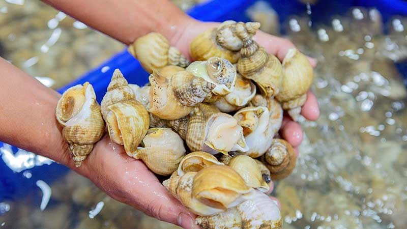 Đặt tiệc tất niên ở đâu tại TPHCM