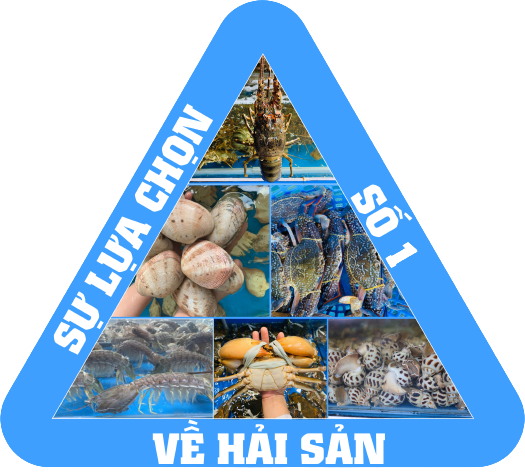 Tầm Nhìn Giang Ghẹ
