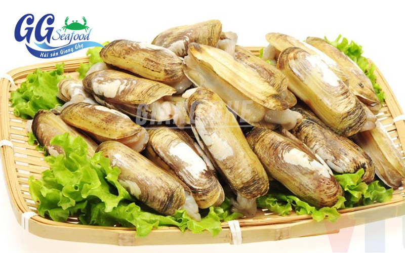 giá ốc móng tay