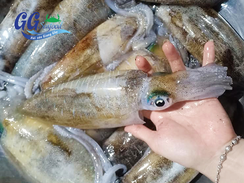  giá Mực lá 