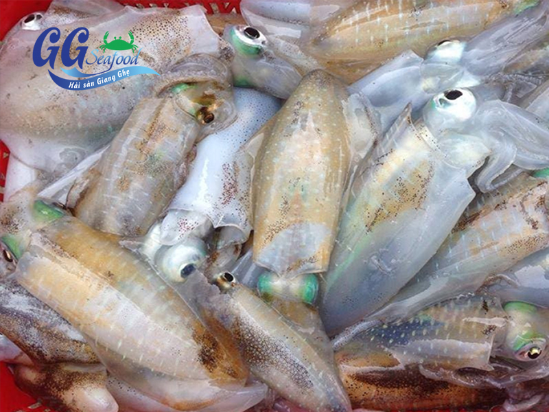 Mực lá tươi