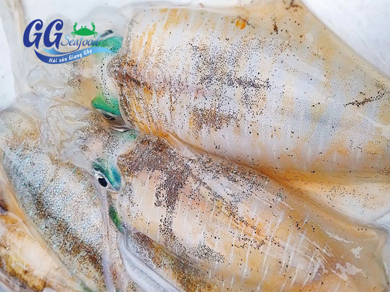 Mực lá Giang Ghẹ
