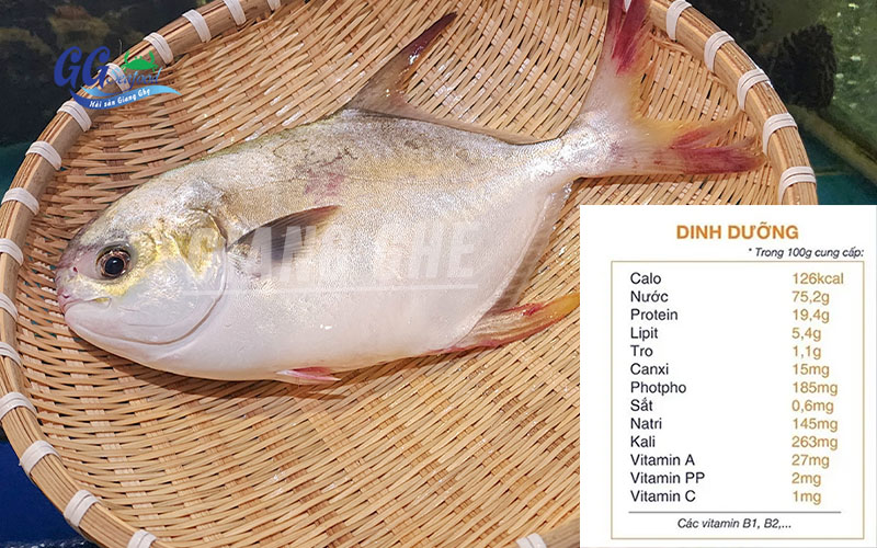 dinh dưỡng từ cá chim trắng