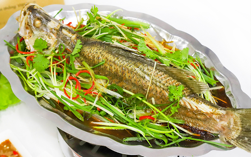Cá mú hấp HongKong