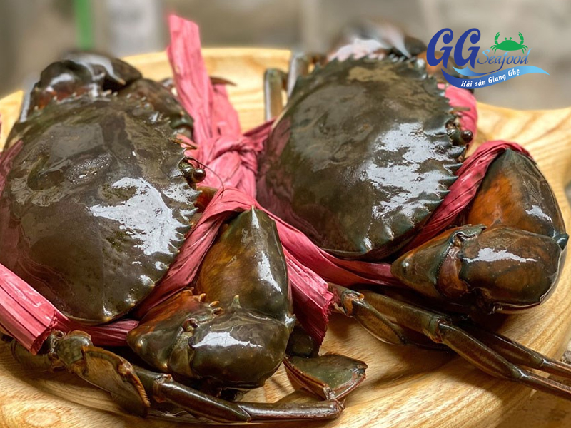  Màu sắc Cua Gạch Sống