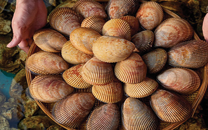 Sò Dương
