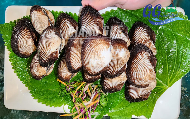 sò lông tươi sống tại giang ghẹ