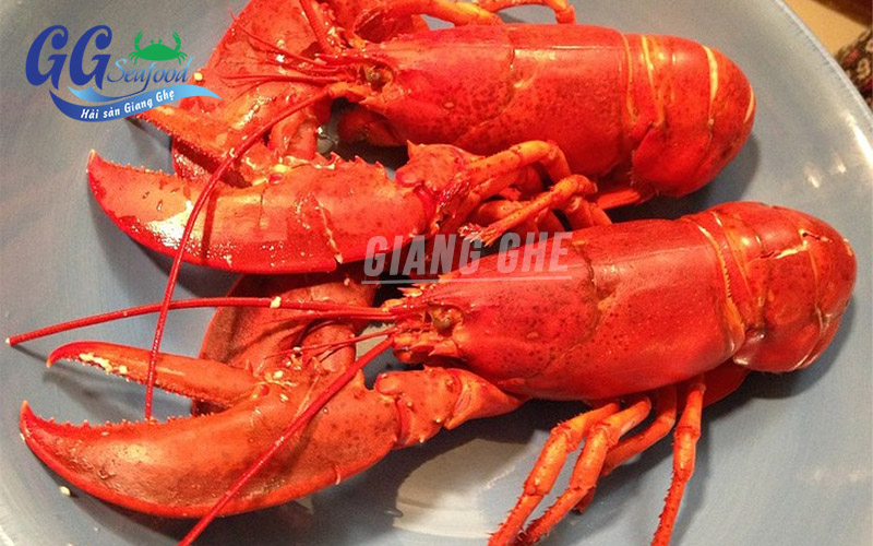 tôm hùm alaska hấp sả