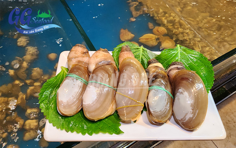 tu hài sống