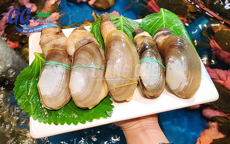 TU HÀI