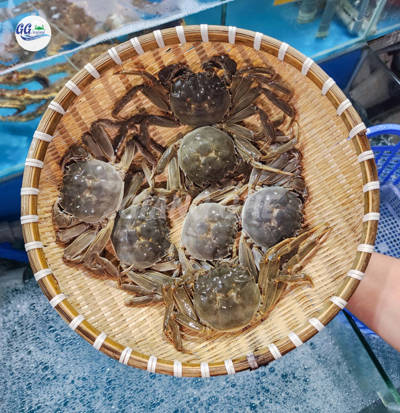 CUA LÔNG (Size: 6-9 Con/Kg) - Giá chưa bao gồm VAT