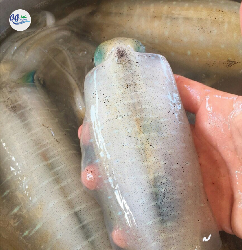 Mực Mi-Nơ - Giá đã bao gồm VAT