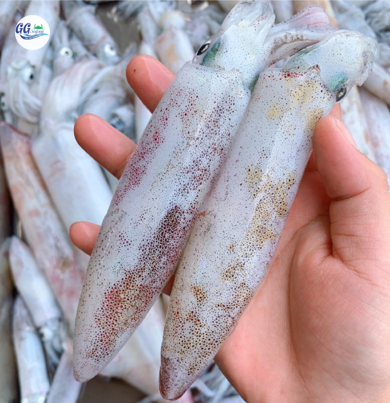 Mực Trứng