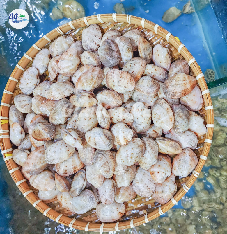 NGAO 2 CỒI (Size: 15-25 Con/Kg) - Giá đã bao gồm VAT
