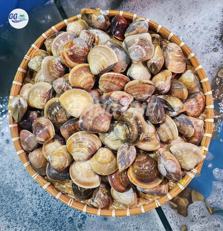 NGAO BIỂN (Size: 10 - 25 con/kg)