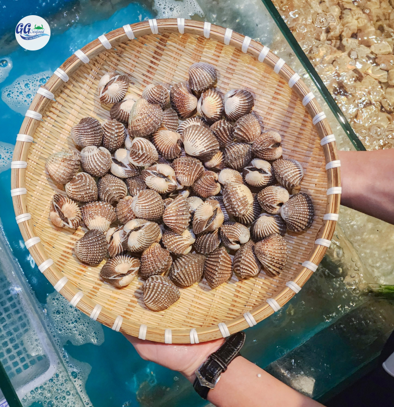 SÒ HUYẾT (Size 15-30 Con/Kg) - Giá đã bao gồm VAT