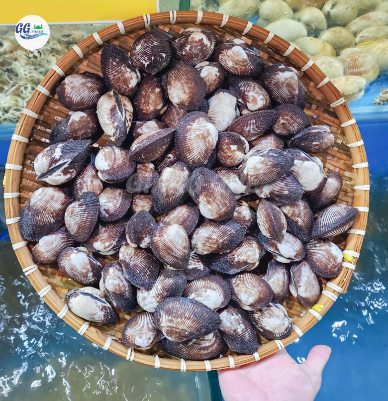SÒ LÔNG  (Size: 15-25 Con/Kg) - Giá đã bao gồm VAT
