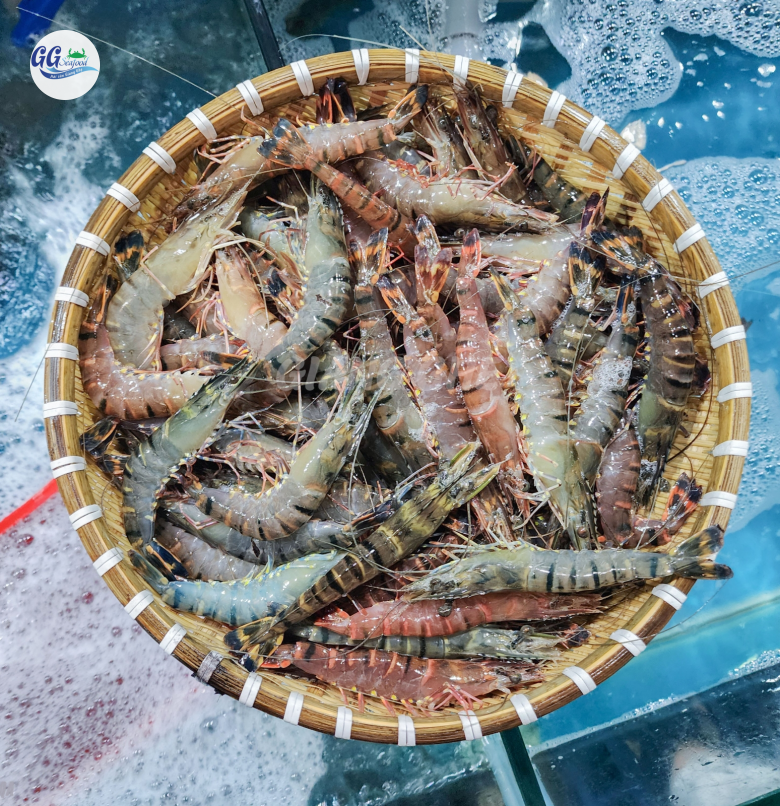 TÔM SÚ (Size 20-40 Con/Kg) - Giá đã bao gồm VAT